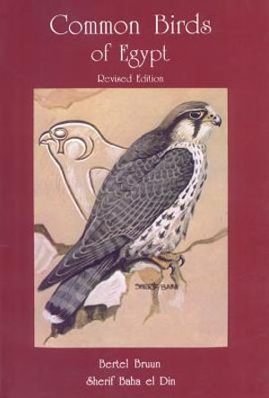 Common Birds of Egypt image number 0