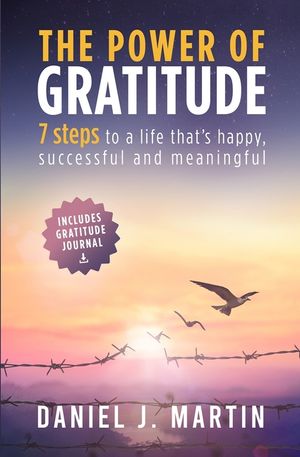 The power of gratitude: 7 steps to a happier, more successful and more meaningful life image number 0