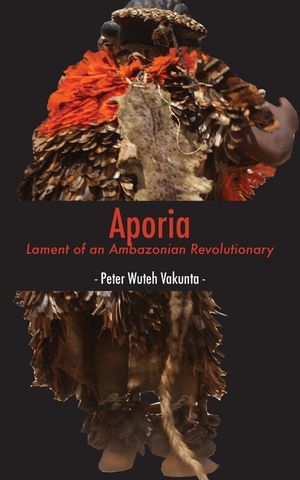 Aporia: Lament of an Ambazonian Revolutionary image number 0