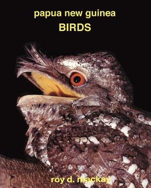 Papua New Guinea Birds image number 0