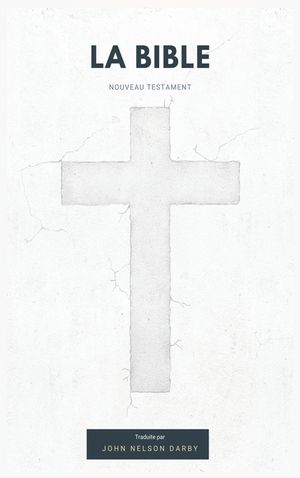 La Bible Nouveau Testament traduite par JN Darby image number 0
