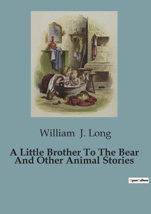 A Little Brother To The Bear And Other Animal Stories image number 0
