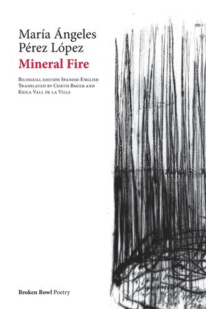 Mineral Fire image number 0