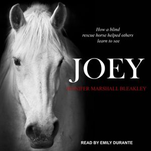 Joey: How a Blind Rescue Horse Helped Others Learn to See image number 0