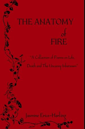 The Anatomy of Fire image number 0