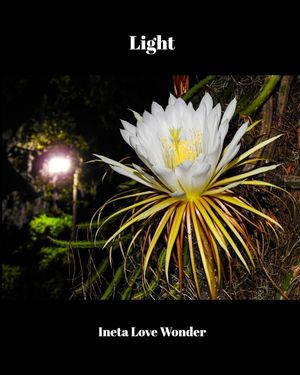 Light image number 0