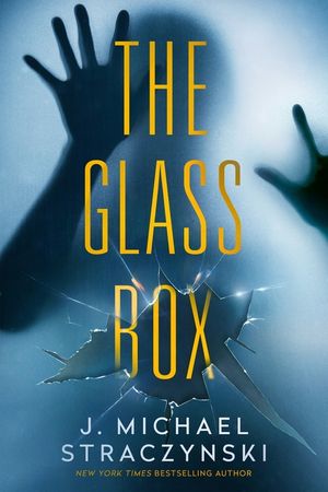 The Glass Box image number 0