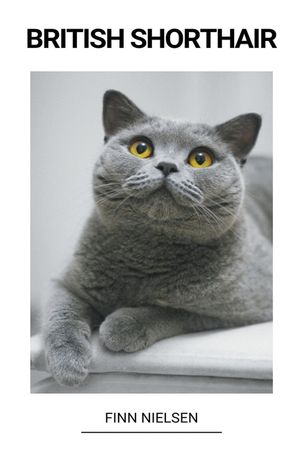 British Shorthair image number 0