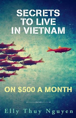 Secrets to Live in Vietnam on $500 a Month image number 0