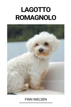Lagotto Romagnolo image number 0