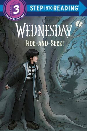 Hide and Seek! (Wednesday) image number 0
