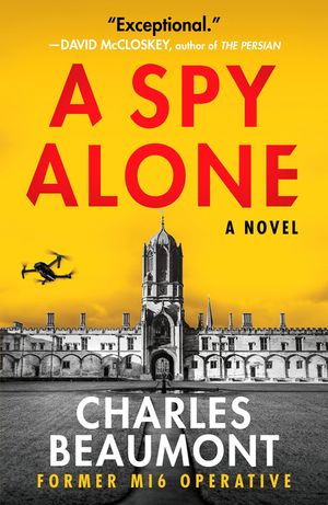 A Spy Alone image number 0