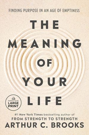 The Meaning of Your Life: Finding Purpose in an Age of Emptiness image number 0
