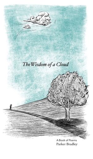 The Wisdom Of A Cloud image number 0