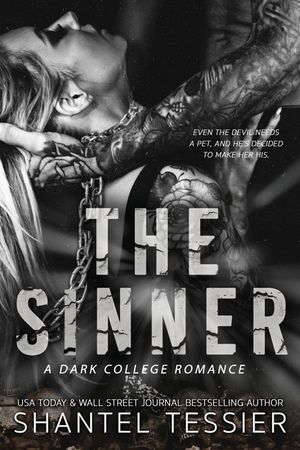 The Sinner image number 0