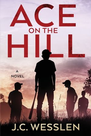 Ace on the Hill image number 0