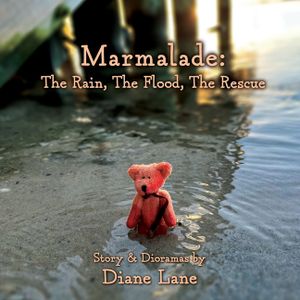 Marmalade: The Rain, The Flood, The Rescue image number 0