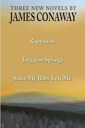 Three Short Novels: Rappawan, Tregaron Springs, Since My Baby Left Me image number 0