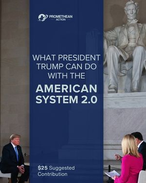 What President Trump Can Do With the American System 2.0 image number 0
