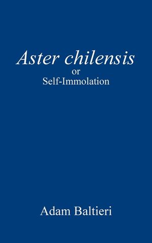 Aster chilensis: or Self-Immolation image number 0