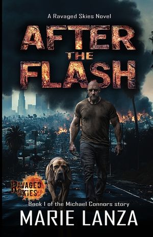 After the Flash: Book 1 of the Michael Connors story image number 0
