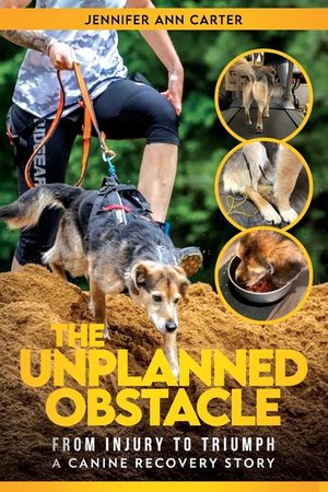 The Unplanned Obstacle: From Injury to Triumph: A Canine Recovery Story image number 0