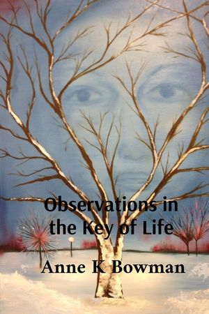 Observations in the Key of Life image number 0