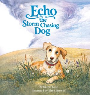 Echo the Storm Chasing Dog image number 0
