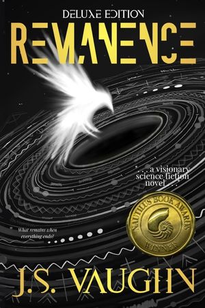 Remanence image number 0