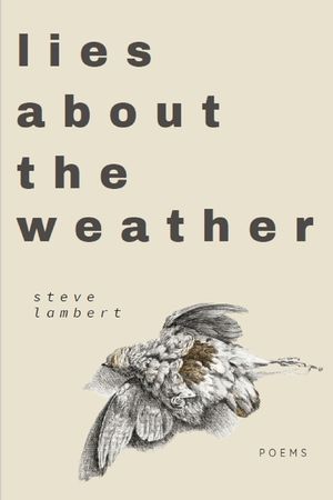 lies about the weather image number 0