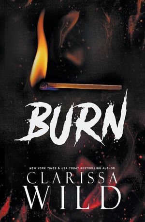 Burn image number 0