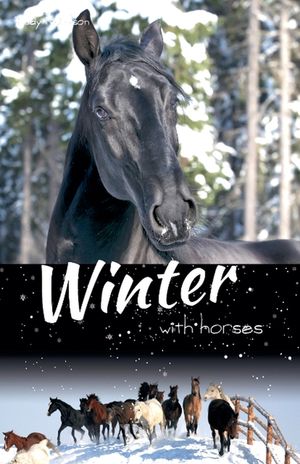 Winter with Horses image number 0