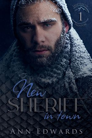 New Sheriff in Town image number 0