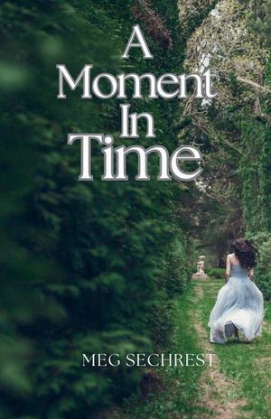 A Moment in Time image number 0