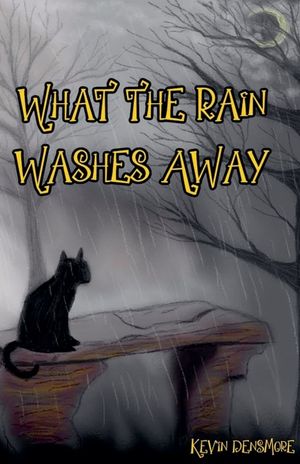 What The Rain Washes Away image number 0