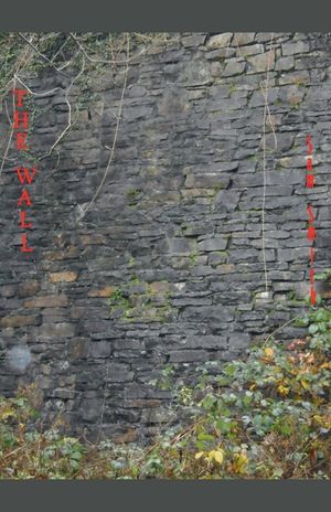 The Wall image number 0