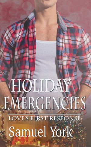 Holiday Emergencies image number 0