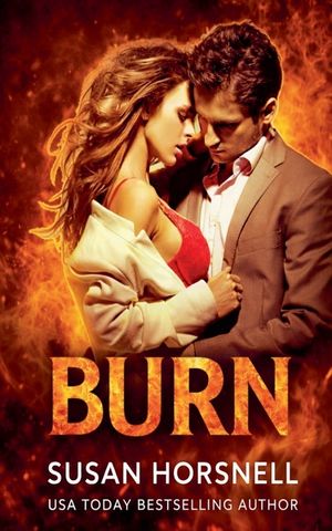 Burn image number 0