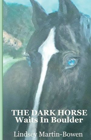 The Dark Horse Waits in Boulder image number 0