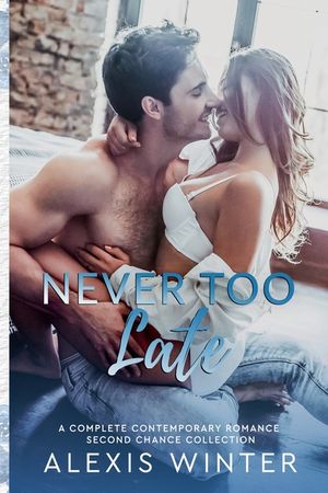 Never Too Late image number 0