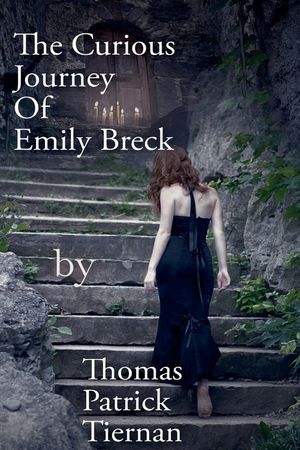 The Curious Journey Of Emily Breck image number 0