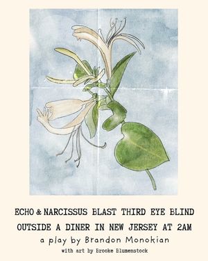 Echo and Narcissus Blast Third Eye Blind Outside A Diner in New Jersey at 2AM [Expanded Edition] image number 0