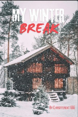 My Winter Break image number 0