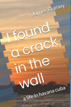 I found a crack in the wall image number 0