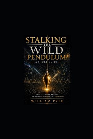 Itzhak Bentovs Stalking The Wild Pendulum: A Short Guide image number 0