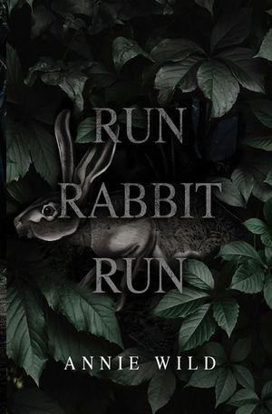 Run Rabbit Run: A Dark Stalker Romance image number 0