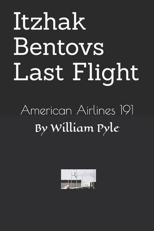 Itzhak Bentovs Last Flight: American Airlines 191 image number 0