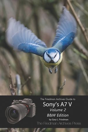 The Friedman Archives Guide to Sony's A7 V Volume 2: B&W Edition image number 0