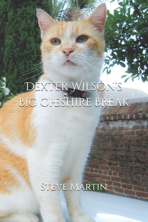 Dexter Wilson's Big Cheshire Break image number 0