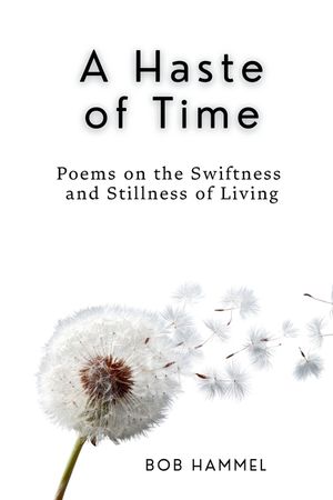 A Haste of Time: Poems on the Swiftness and Stillness of Living image number 0